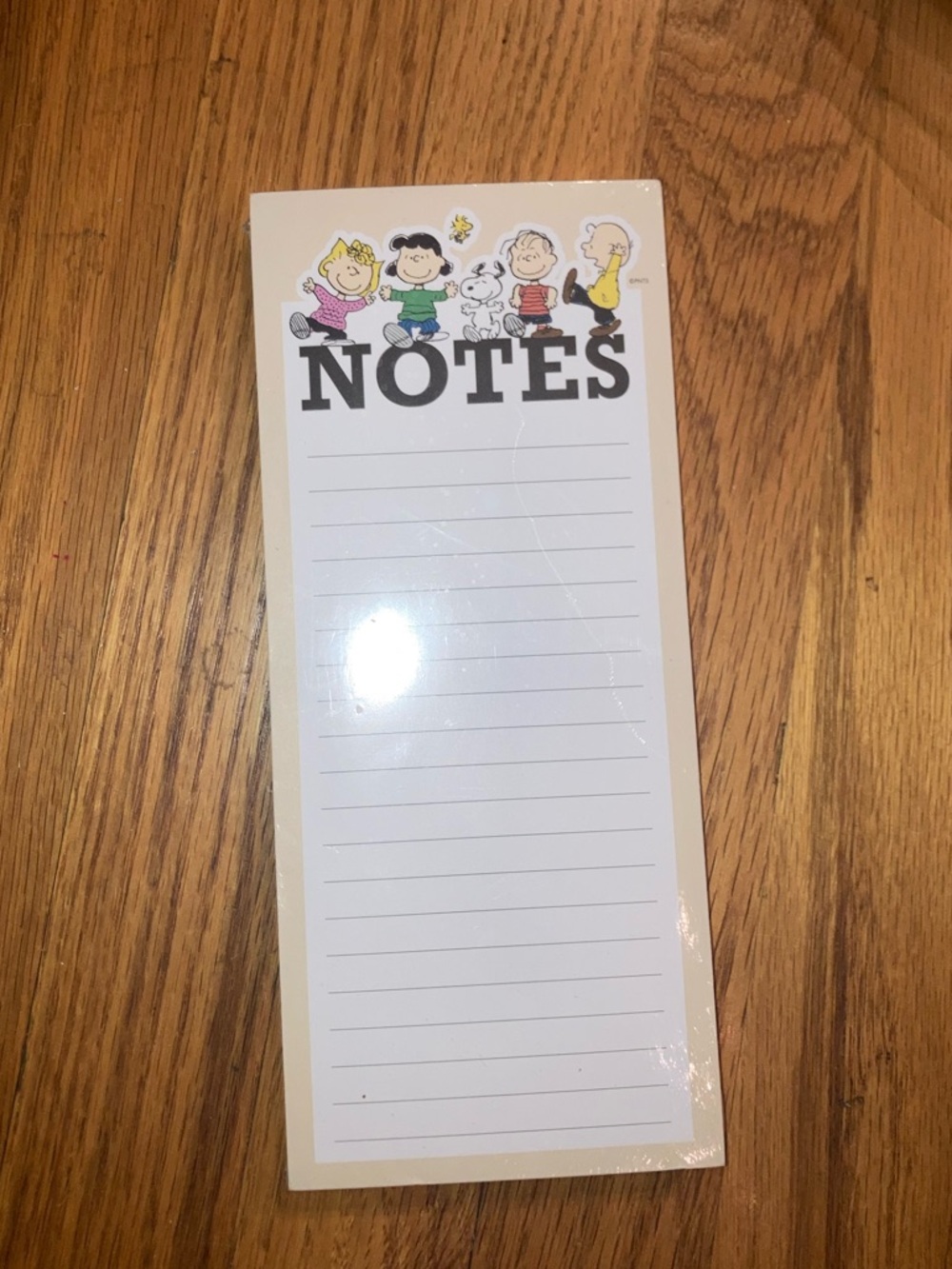 Snoopy & Friends Magnetic Notepad 'NOTES'  Double Magnets on rear. - New
